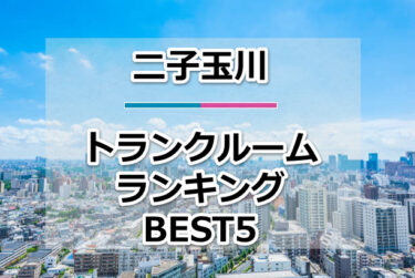 【格安】二子玉川トランクルームおすすめランキングBEST5を紹介！